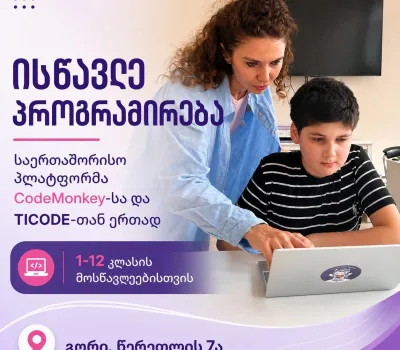 ticode-ge-o-tikodi 1